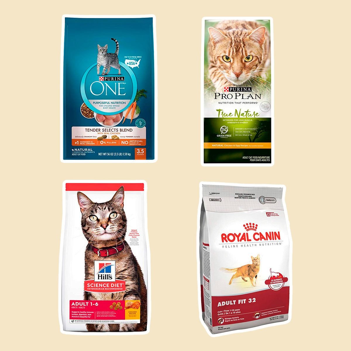 Best kitten dry food
