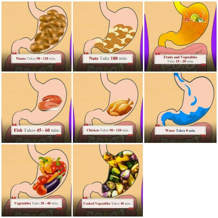 Food digestion time chart