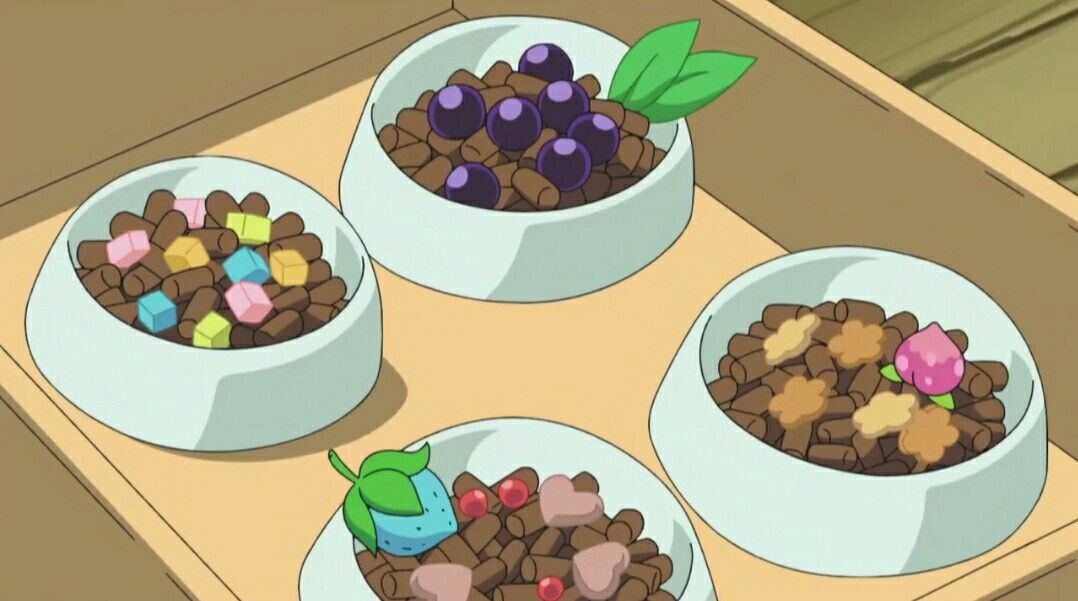 Pokémon food