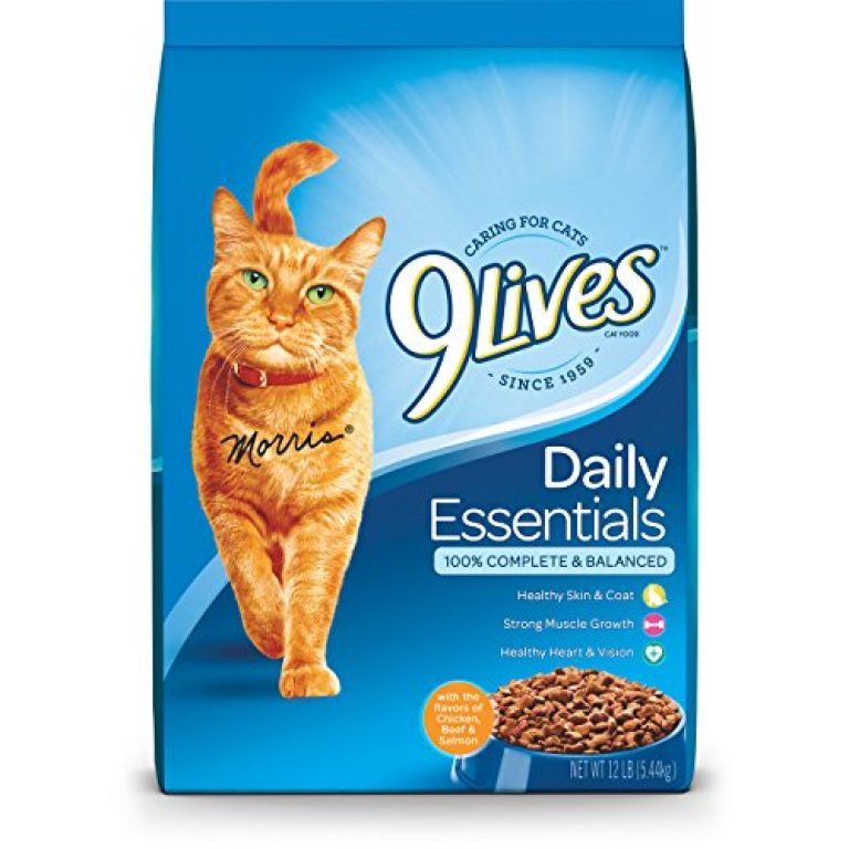 Cat food dry food