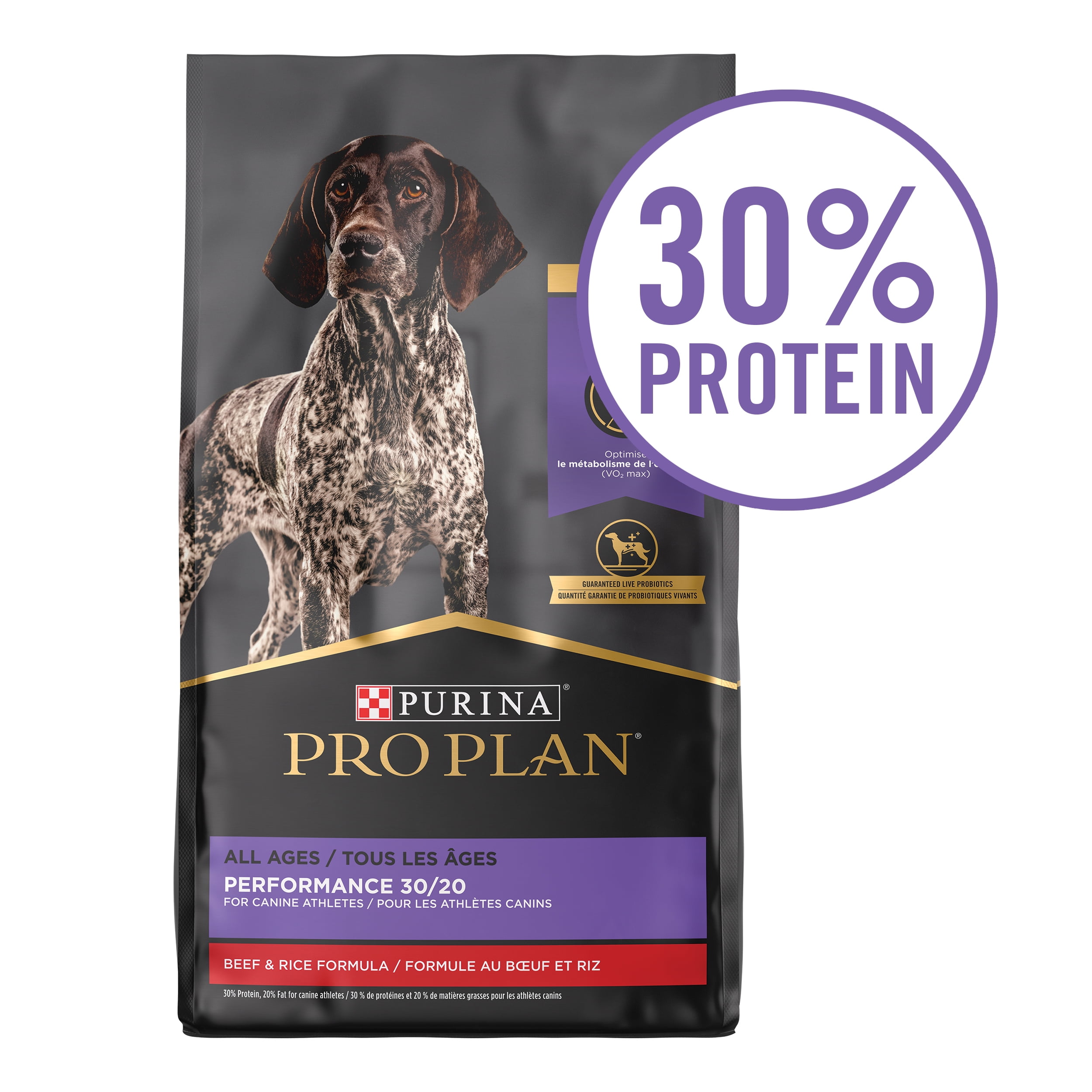 High calorie dog foods