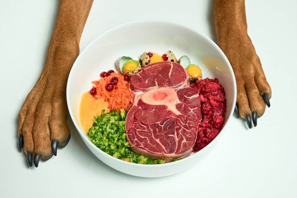 Good organic dog food