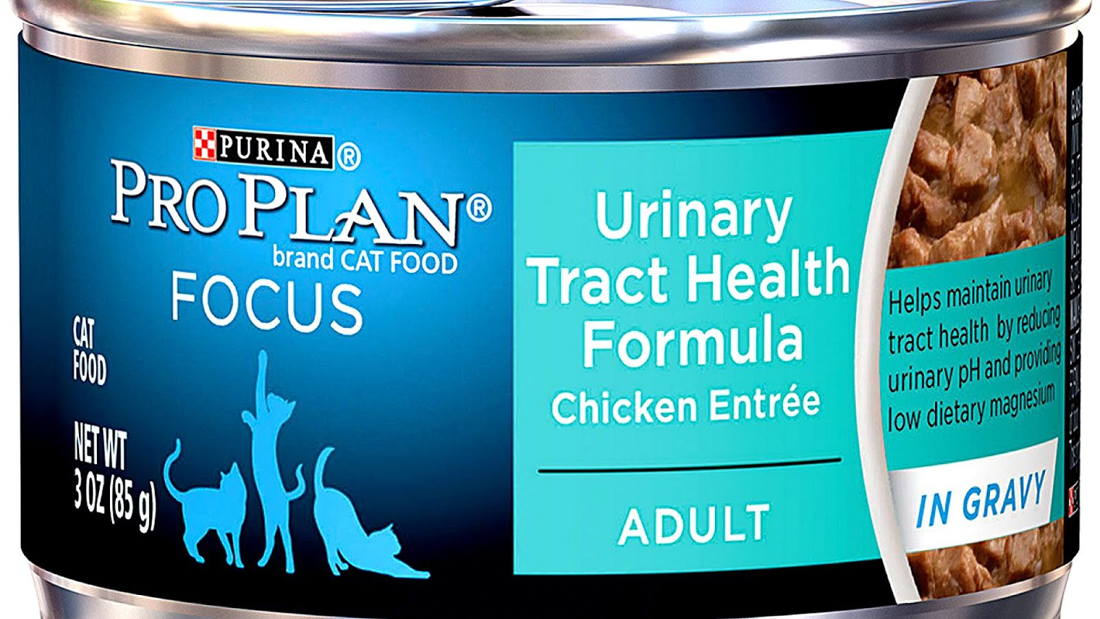 Low phosphorus cat foods