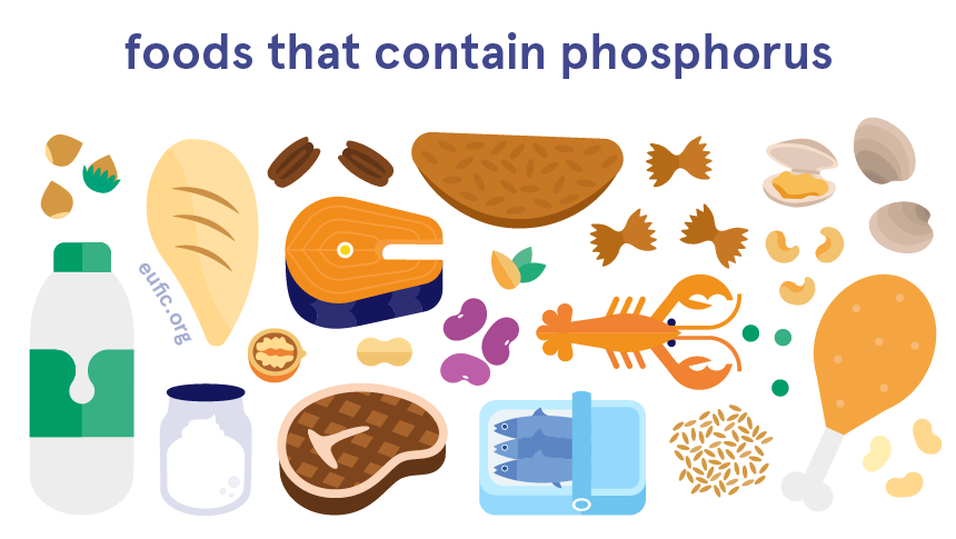 Phosphorus foods phosphates regulates regulate proteins enzymes