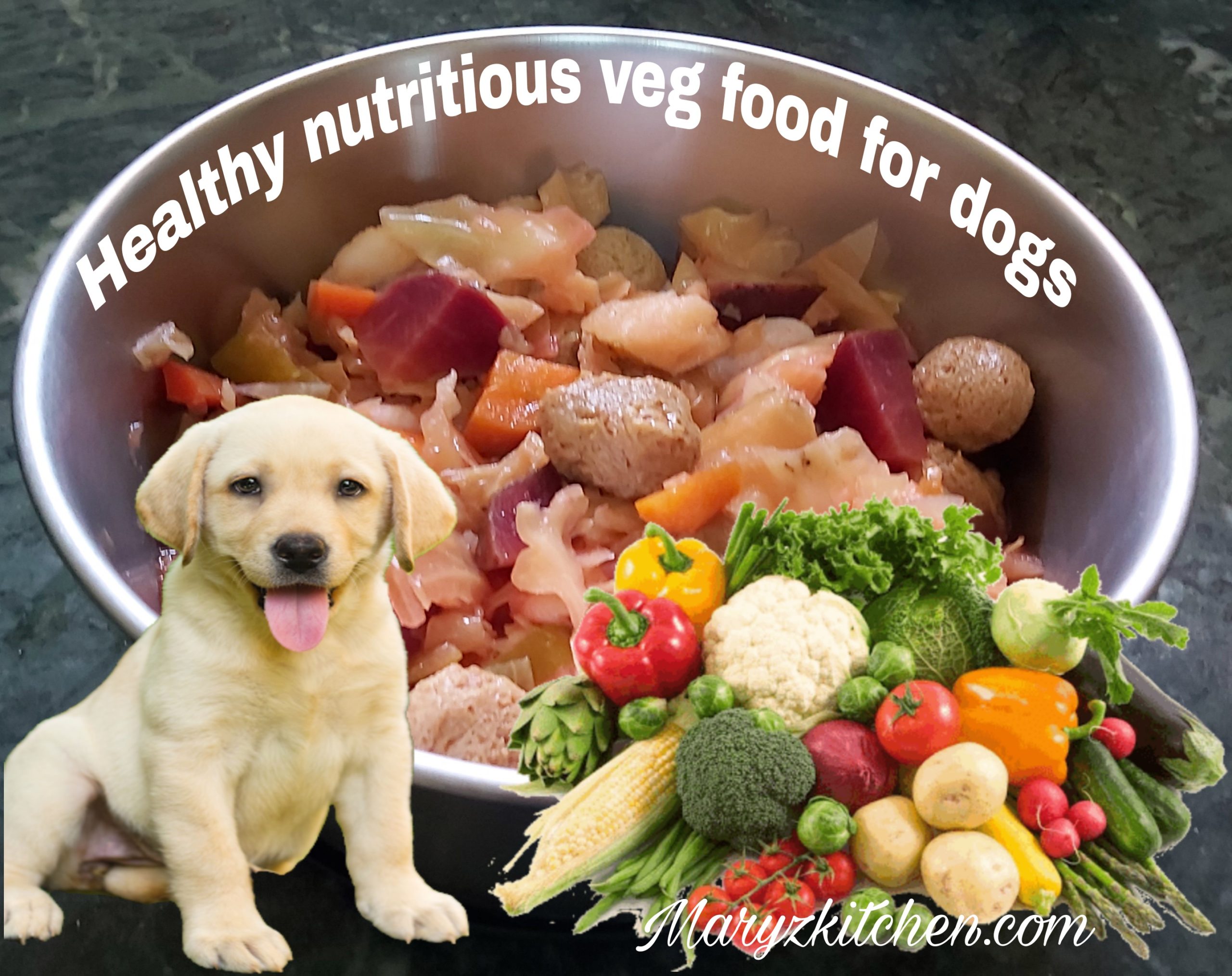 Vegetarian dog food