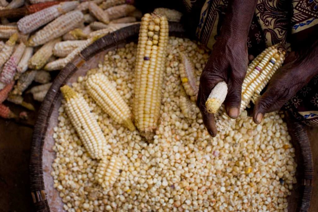 Xprize food security