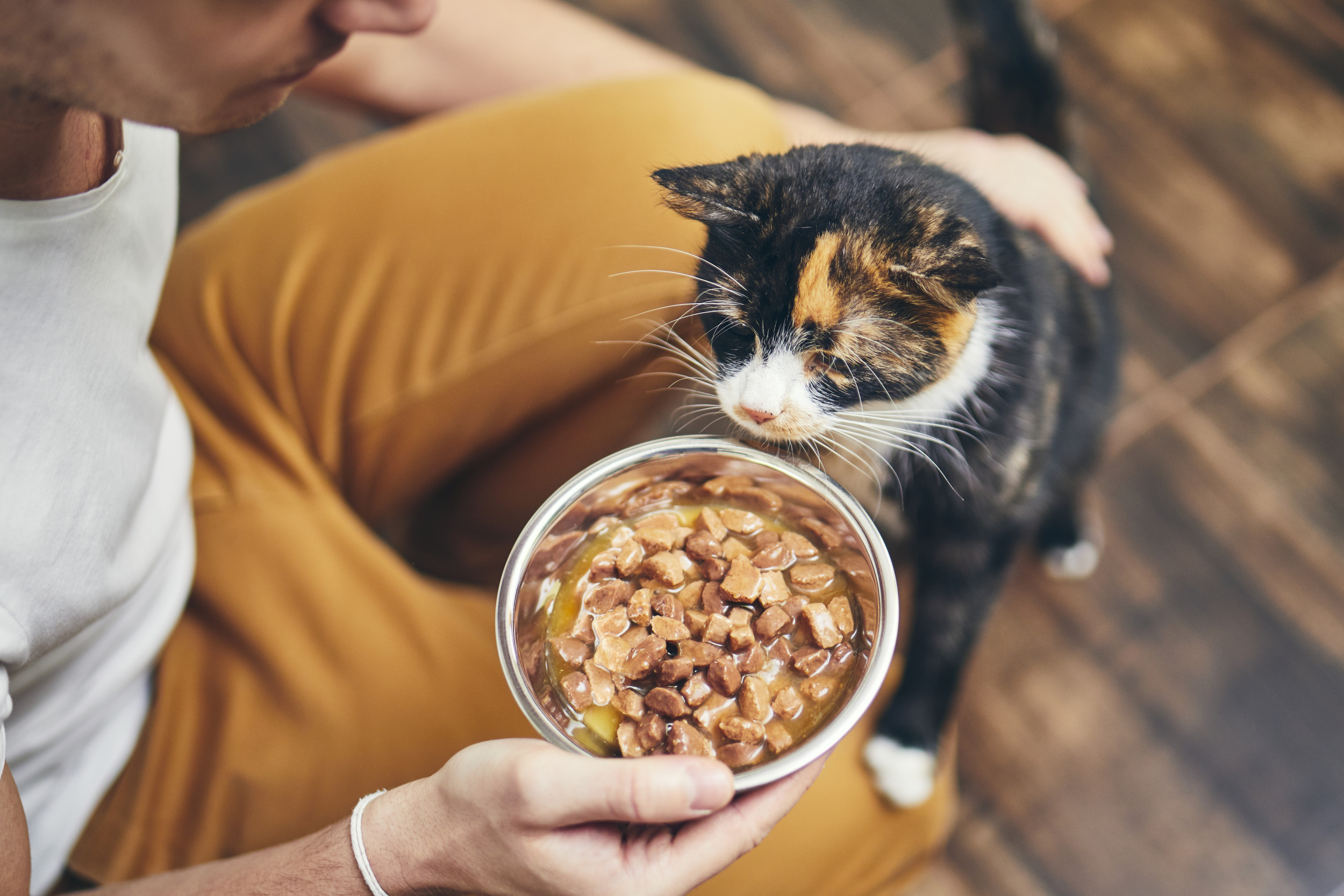 Freshpet