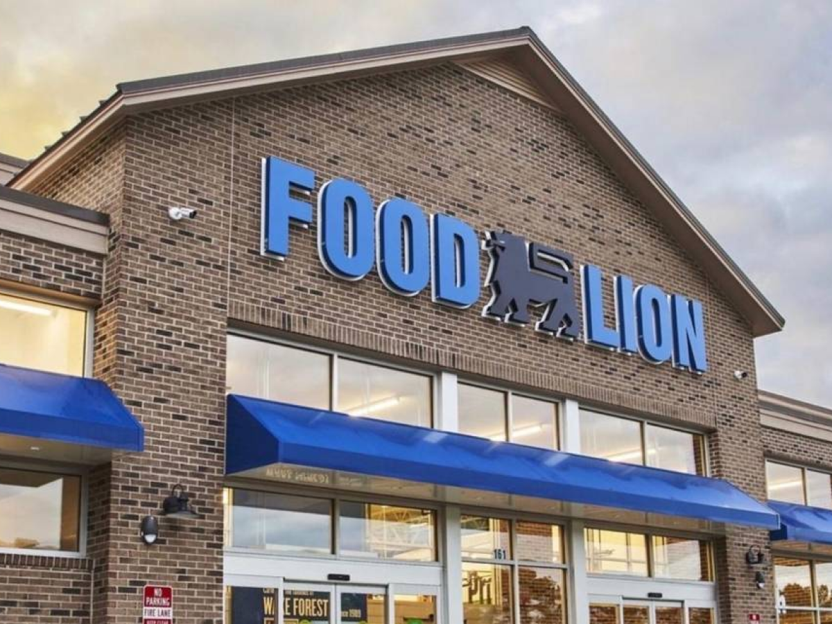 Food lion hinesville ga