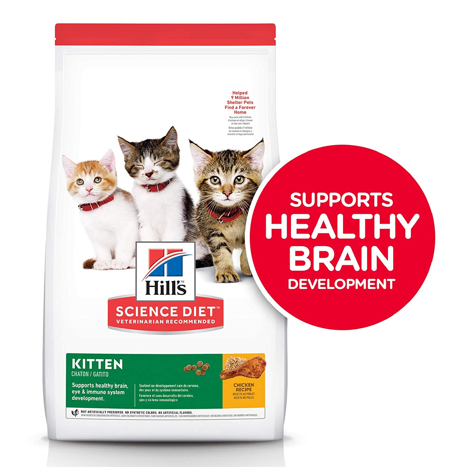 Best kitten food dry