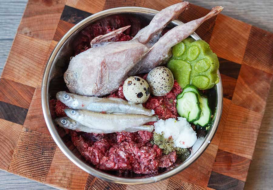 Dogs diets purina