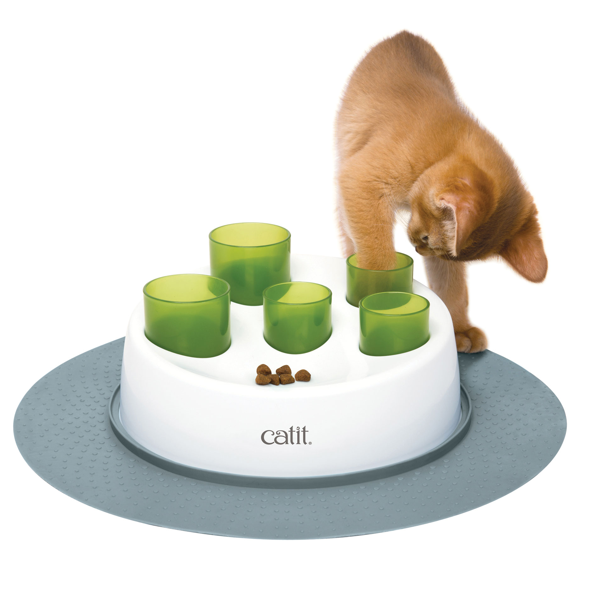Cat food puzzle