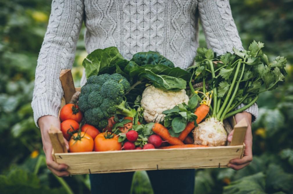 Come fruits vegetables