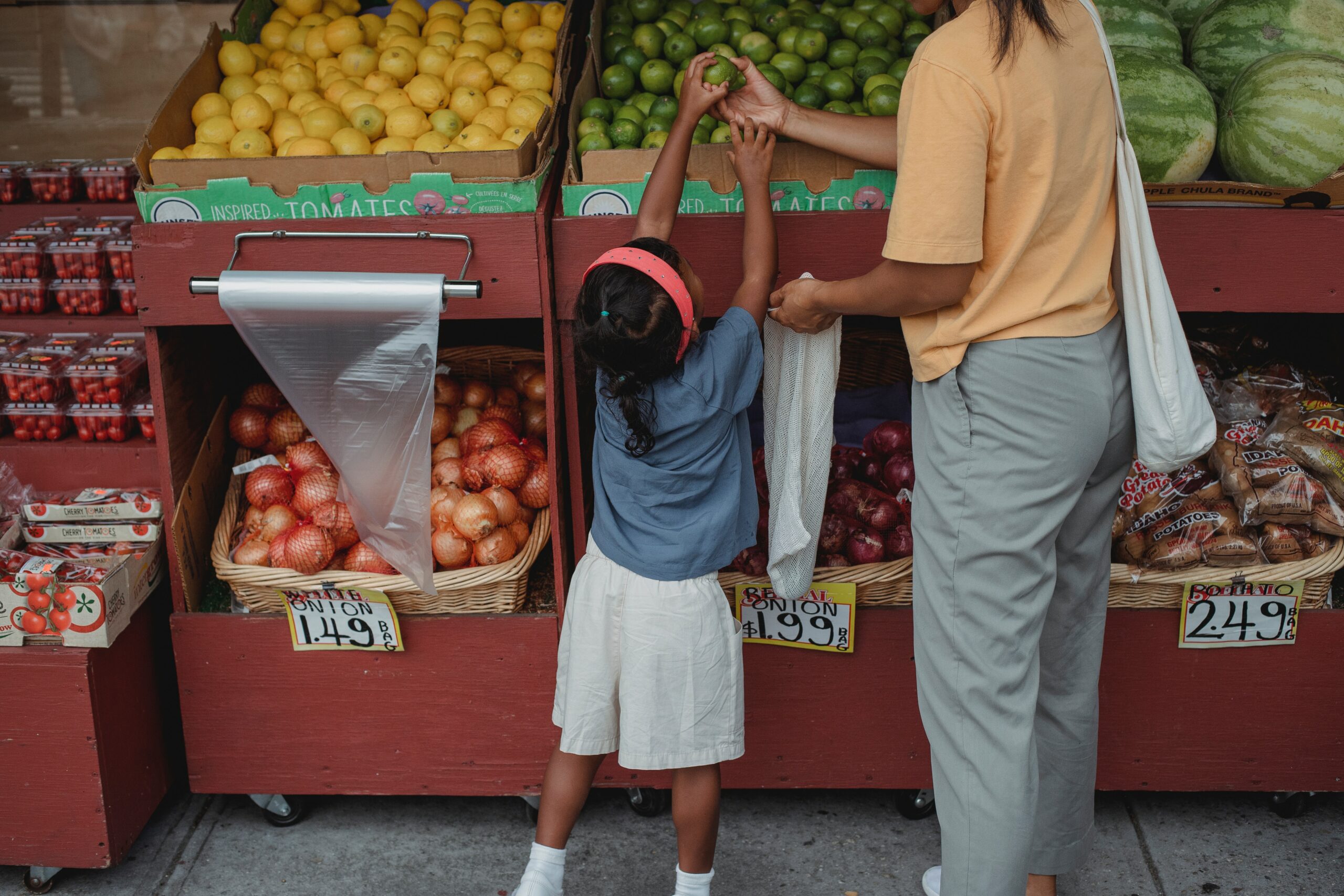 Kansas food stamp help