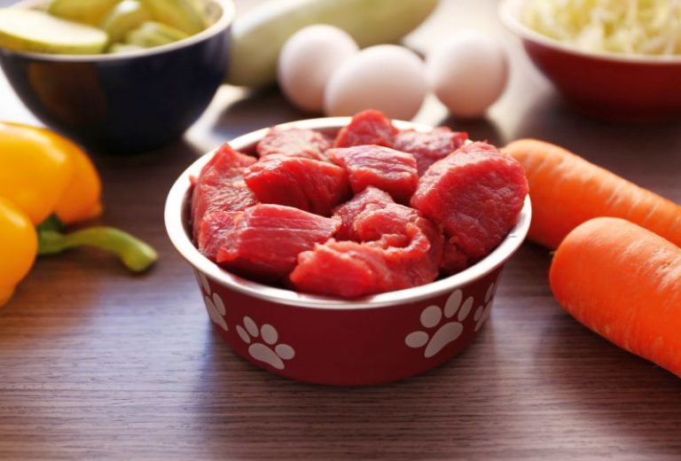 Dog food toppers
