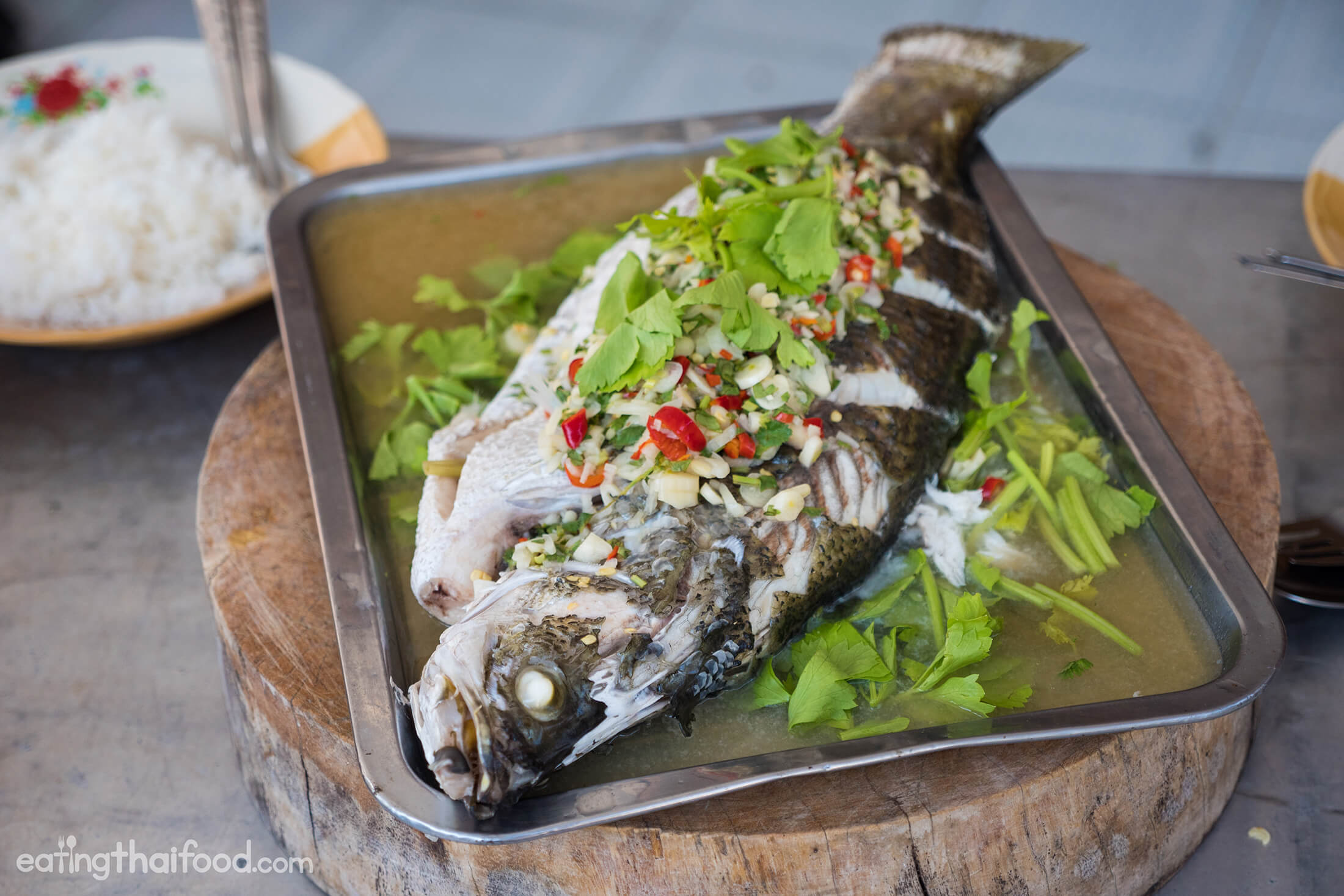 Grilled fish diet recipes fatty healthy foods relish tropical liver food health mahi drweil nutrition next shares